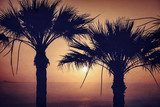 Two palm and sunset. Vintage photo 